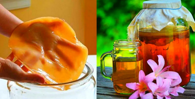 [Анна Fermenterra] [Fermenterra] Чайный гриб с нуля (2023)