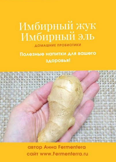 [Анна Fermenterra] [Fermenterra] Имбирный жук. Имбирный эль (2023)