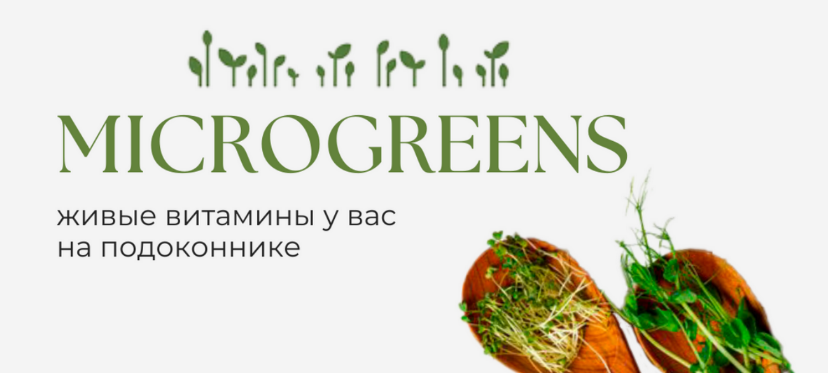 [Огулов Центр] Константин Смирнов ― Рецепт долголетия от натуропата. Как прожить жизнь здоровым чело