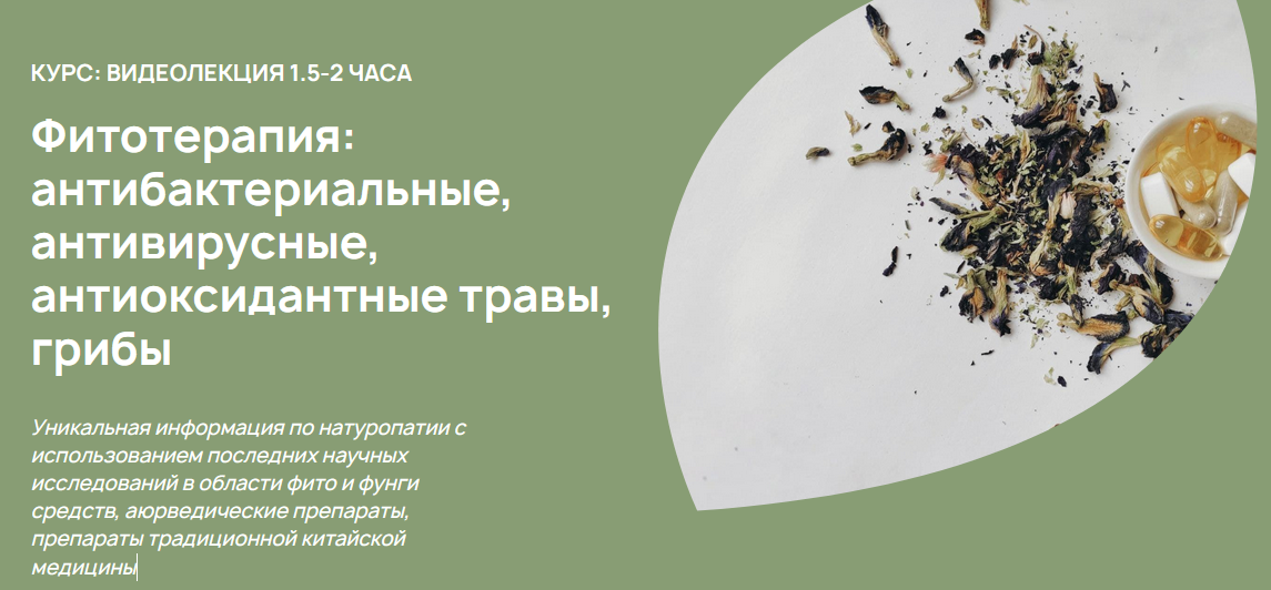 [А. Родионова] Фитотерапия: антибактериальные, антивирусные, антиоксидантные травы, грибы (2023)