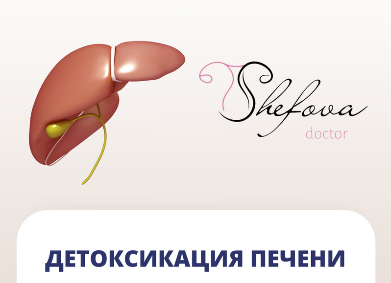 [Шефова Юлия] [dr.shefova] Детоксикация печени (2022)