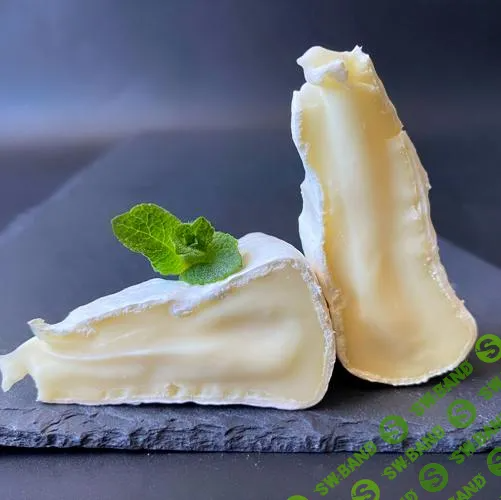 [Елена Сыроваркрым] Классический камамбер (2024)