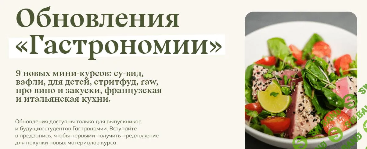 [Welldone] Обновления Гастрономии. Все 9 новинок в одном. Пакет №3 (Маша Шелушенко) (2024)