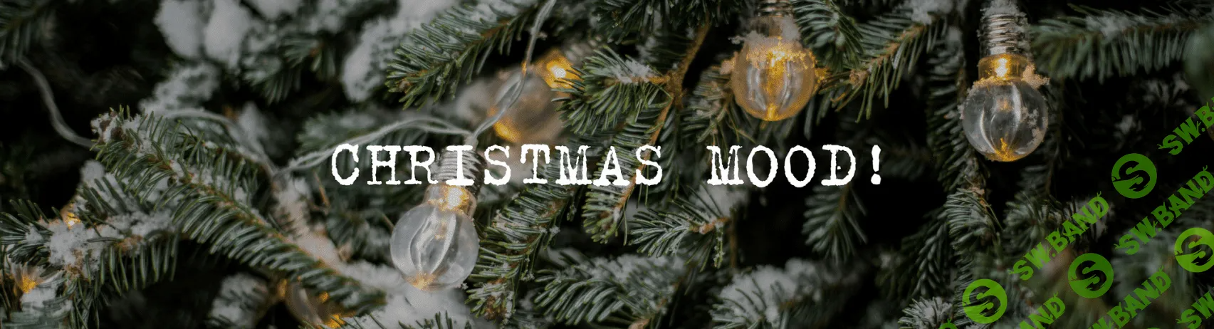 [Олеся Куприн] Кулинарный марафон «Ты поела. Это на Новый год!» (2023)