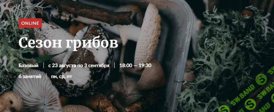 [Александр Цуканов] Сезон грибов (2022)