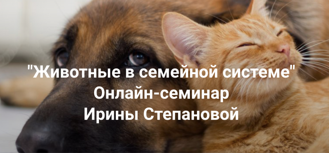 [Ирина Степанова] [Институт Открытого поля] Животные в семейной системе (2025)