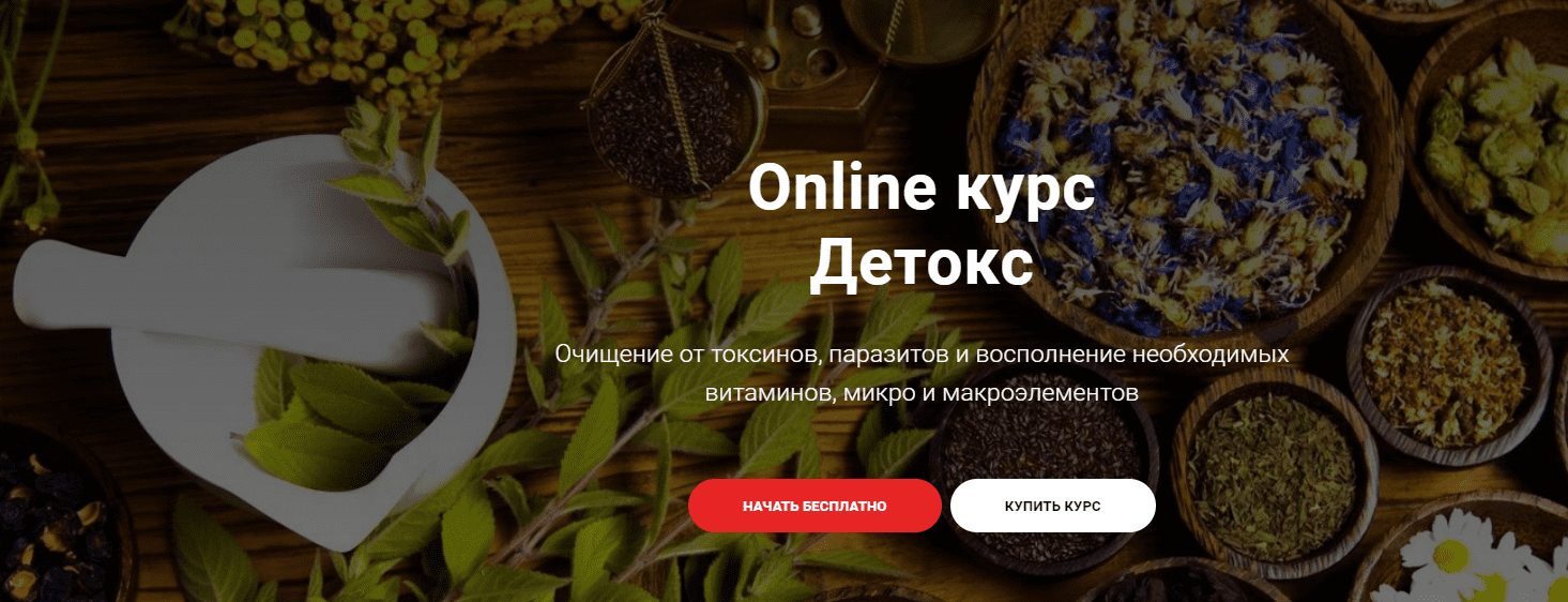 [Тимофей Кармацкий] Online курс "Детокс" (2023)
