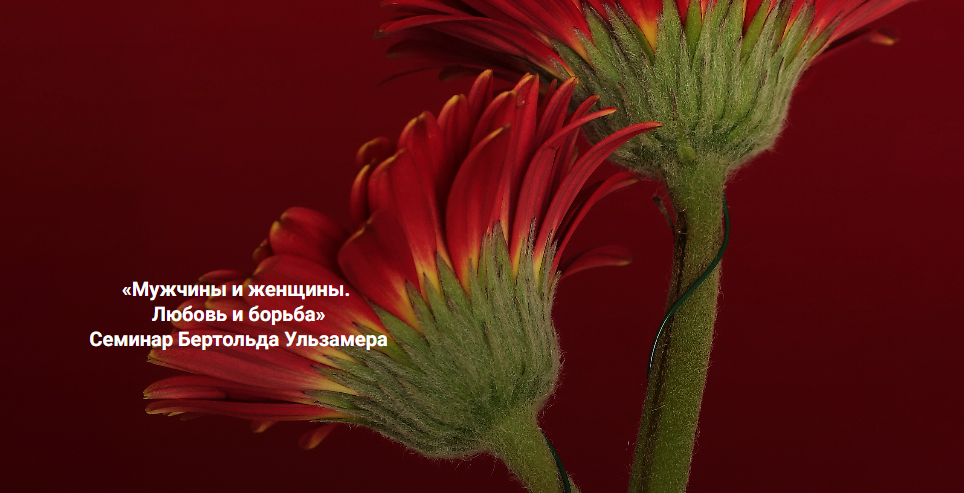 [Бертольд Ульзамер] [Институт Открытого поля] Мужчины и женщины. Любовь и борьба. Расстановки отношений (2025)